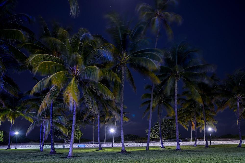 Hilton Vacation Club Crescent On South Beach Miami Маями Бийч Екстериор снимка